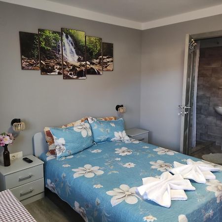 פרייד Kovacs Guesthouse מראה חיצוני תמונה